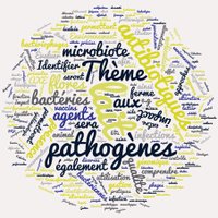 Op+lait (@oplait2) 's Twitter Profile