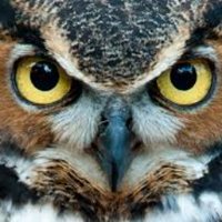 MD90266 (@md90266) 's Twitter Profile Photo MD90266 (@md90266) 's Twitter Profile Photo