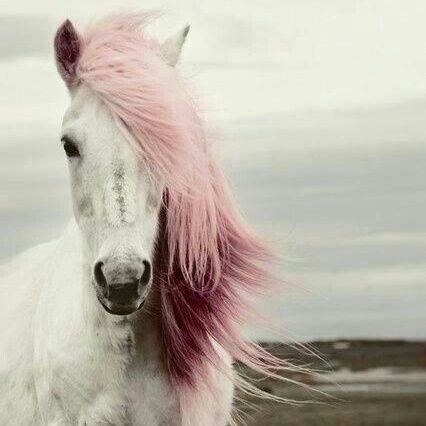 d_vainilla's profile picture. 