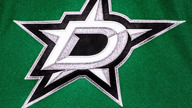 Enjoy Dallas Stars hockey, Dallas Stars Season ticket holder, Dallas Stars Ice Girls, sports cars, driving fast and playing adult league hockey!