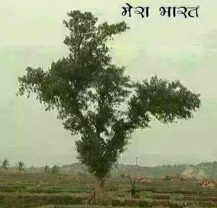 Shailes52027696's profile picture. Rss sharirik prmukh mumbai central