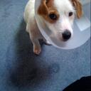 Baxter Caldwell - @WeeBaxter - Twitter