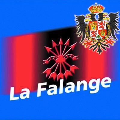 Cuenta oficial de @lafalange toledana • Ciudad Imperial • 📩: comunicacion@falange-espanola.com • WApp: 655440852 •https://t.co/VdTBvyukth