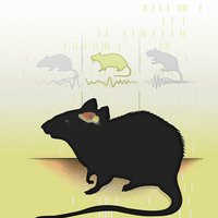 Laura Colgin (@colginlab) 's Twitter Profile Photo Laura Colgin (@colginlab) 's Twitter Profile Photo