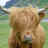 sarahlawer's profile image