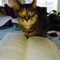 Len Gutkin (@gutkinlen) Twitter profile photo