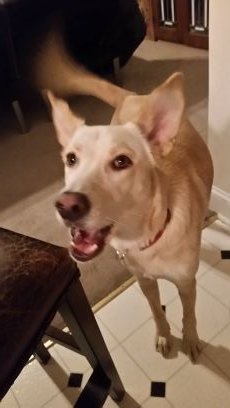 irrevSB's profile picture. Irreverent small biz founder,  CFO / COO. Responsible AF.