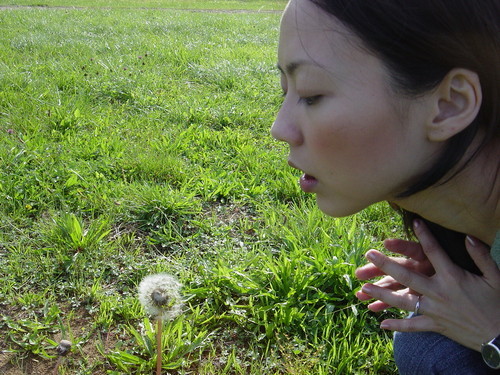 suelynn's profile picture. Dabbler in Technology PR. Lover of Random Observations. The Second Definition of Voyeur on http://t.co/TBJWLilpWI