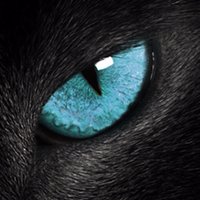 shadowoflight(@shadowofIight) 's Twitter Profile Photo