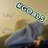 LornaStrum's profile image