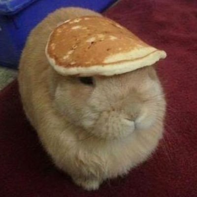 Shikijo's profile picture. 📄🇪🇺Pro drone / FPV pilot
📹🚁Red Komodo |BMPCC| GoPro
📹🏃Filmmaker Ronin4D
🇫🇷 Grenoble/Paris
Supported by @venuslaowa @djiglobal @meike_global @insta360