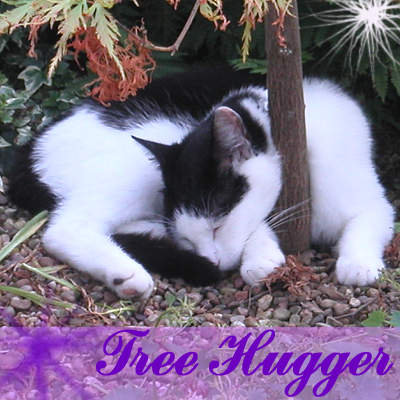 MandyHopkins980's profile picture. Hi. This is my Twitter account - feel free to tweet me. That's about all I have to say really. :-D