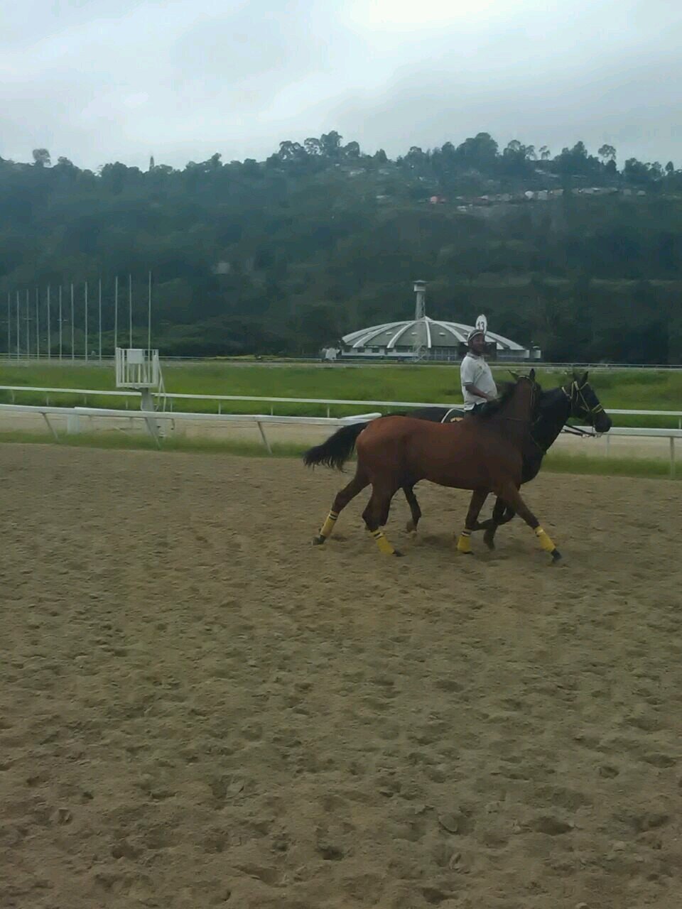 ALEJANDRO LOPEZ HANDICAPPER ,SOLO LA RINCONADA LA MEJOR INFORMACION DSD EL LUGAR D LOS ACONTECIMIENTOS