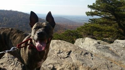 amclaughlin222's profile picture. Yo