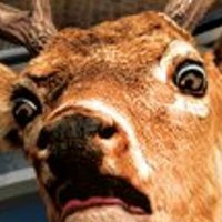 Thersites (@basedonfoma) 's Twitter Profile