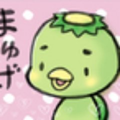 銀のカッパ 世界一の超天才 Sekaiitinotensa Twitter