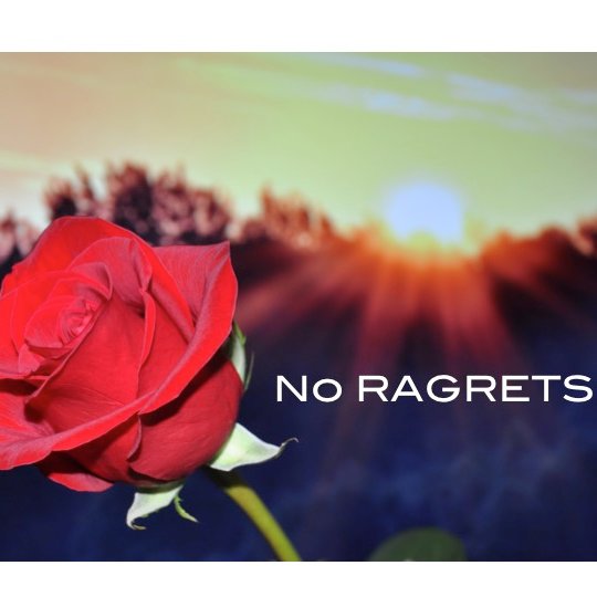 Marketing professional by day, #Bachelor super fan by Monday nights- always here for the #rightreasons. Notre Dame and NYU Stern grad.