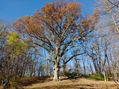 Chronster614's profile picture. Into Jesus, Birding, and Parenting. Trying to embrace life as an Ohioan and give up my Washington roots