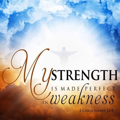 JfsjoseVr's profile picture. #petlover #computerEngineer #entrepreneur @AccountAnalyst #enthusiast