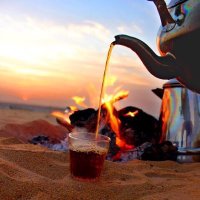 غــ الـدارــريـب (@taeger503) 's Twitter Profile