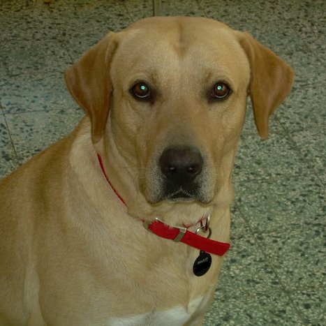 Santini41Cafe's profile picture. cafecoffee41@gmail.com