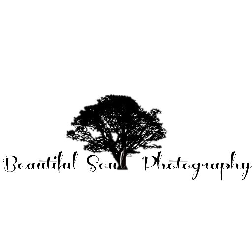 Professional grade photos at an affordable price! Owner/Photographer: 
Marisa (Lewis) Shouse