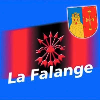 Cuenta oficial de @lafalange pozuelera (Madrid) • comunicacion@falange-espanola.com • WhatsApp 655440852 • 📞915487166 [L-V 19h-21h]