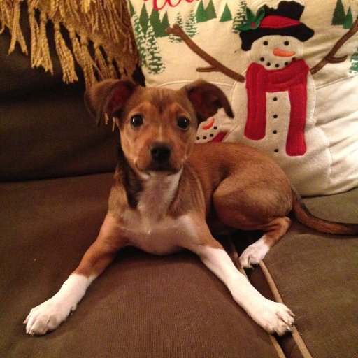 CBTechAide32's profile picture. 