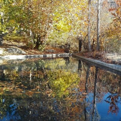 hadisadeghi5555's profile picture. 