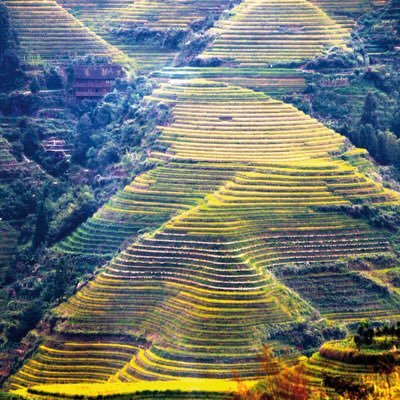 Record China's contemporary transition towards sustainable eco-agri-food systems and sustainable living culture - the land, people, nature, and culture.