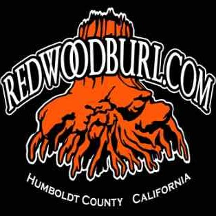 Finishing Redwood Part II - Redwood Burl Inc.