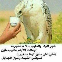 الرايق (@d1vslrlzk1ajdmy) 's Twitter Profile