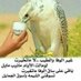 الرايق (@d1vslrlzk1ajdmy) Twitter profile photo الرايق (@d1vslrlzk1ajdmy) Twitter profile photo