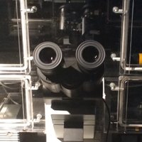 Gallego Lab (@gallegolab) 's Twitter Profile