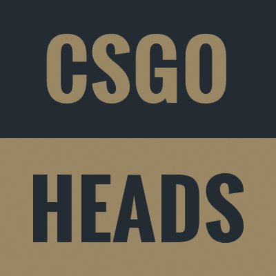 CSGOHeads's profile picture. 