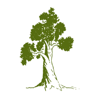 redmondvet's profile picture. We are a full service Animal Hospital providing Uncompromised Care for those that provide us with unconditional love.