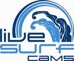 livesurfcams's profile picture. Your nobody in this town until everybody thinks your a bastard