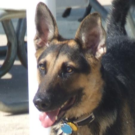 BrynnBrynn75's profile picture. “Be strong enough to stand alone, be yourself enough to stand apart, but be wise enough to stand together when the time comes.” – Mark Amend