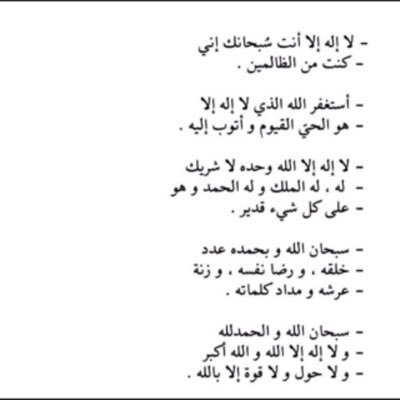 95Shehab's profile picture. 