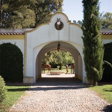 TaxCafeteria's profile picture. ..A PLAN,..THE EXECUTION OF THE PLAN. THIS IS THE CASE WITH PETER C. HEY, HE CREATES A SAFE, SECURE BANKABLE TRANSACTION THAT YIELD FUNDS .........