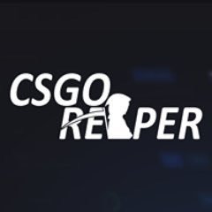 Owner & Developer of @CSGOReapercom