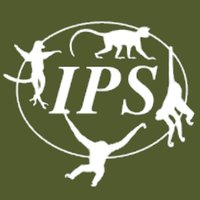 IPS Primate(@IPS_PrimateNews) 's Twitter Profile Photo