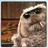 inad87's profile image