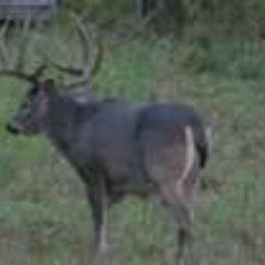 Welcome to T&S Outdoor Products.  Visit us online for your Outdoor, Hunting, Home Décor, needs. We carry  almost anything. We are here 2