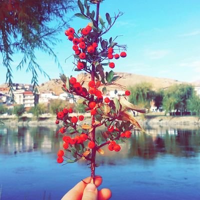 4yseyldz's profile picture. Marmara Üniversitesi