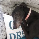 sue watson - @onlyforsue23 - Twitter