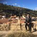 Jose Luis Alfonso (@joselalfons) Twitter profile photo Jose Luis Alfonso (@joselalfons) Twitter profile photo