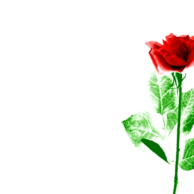 sumanshil554's profile picture. 