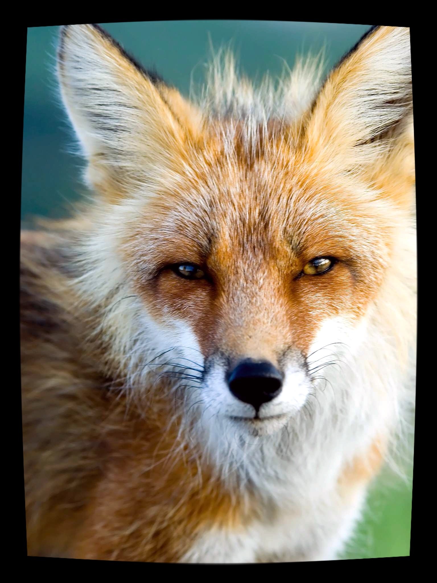 Denumhutton3's profile picture. 