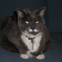 nubby95 (@nubby95) 's Twitter Profile